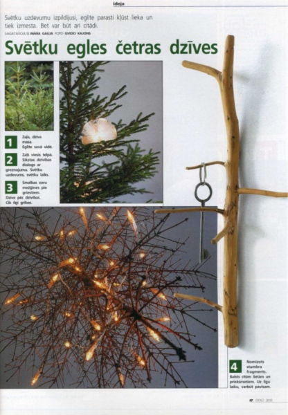 Styles for page&nbsp;on the&nbsp;theme - The Christmas Tree after the Christmas. Photo Gvido Kajons.