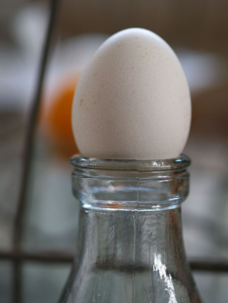 Style for page&nbsp;on the&nbsp;theme -&nbsp;Easter decoration ideas. Photo Gvido Kajons