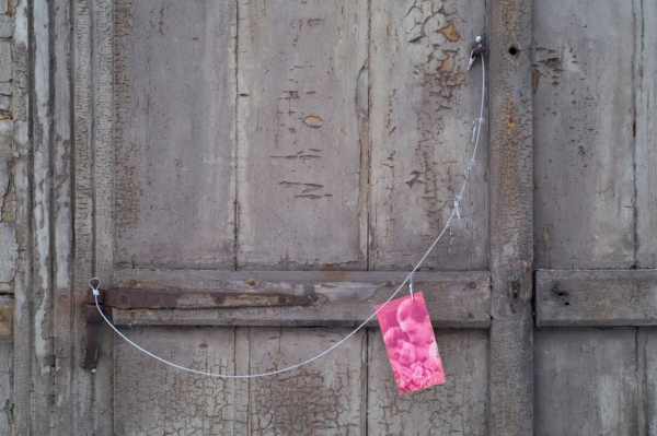 Photo style for page on the Valentin's day theme. Photo Gvido Kajons.