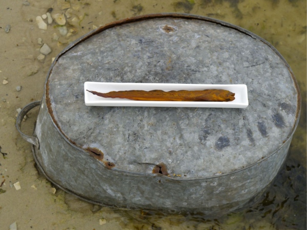 Style for page&nbsp;on the&nbsp;theme - Ideas for&nbsp;Fish Serving on the Beach. Photo Gvido Kajons