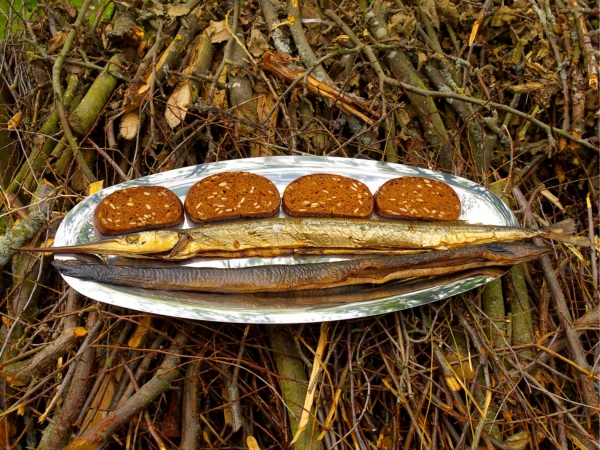 Style for page&nbsp;on the&nbsp;theme - Ideas for&nbsp;Fish Serving on the Beach. Photo Gvido Kajons